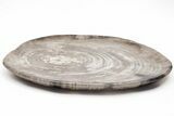 Tropical Hardwood Petrified Wood Dish - Indonesia #210577-2